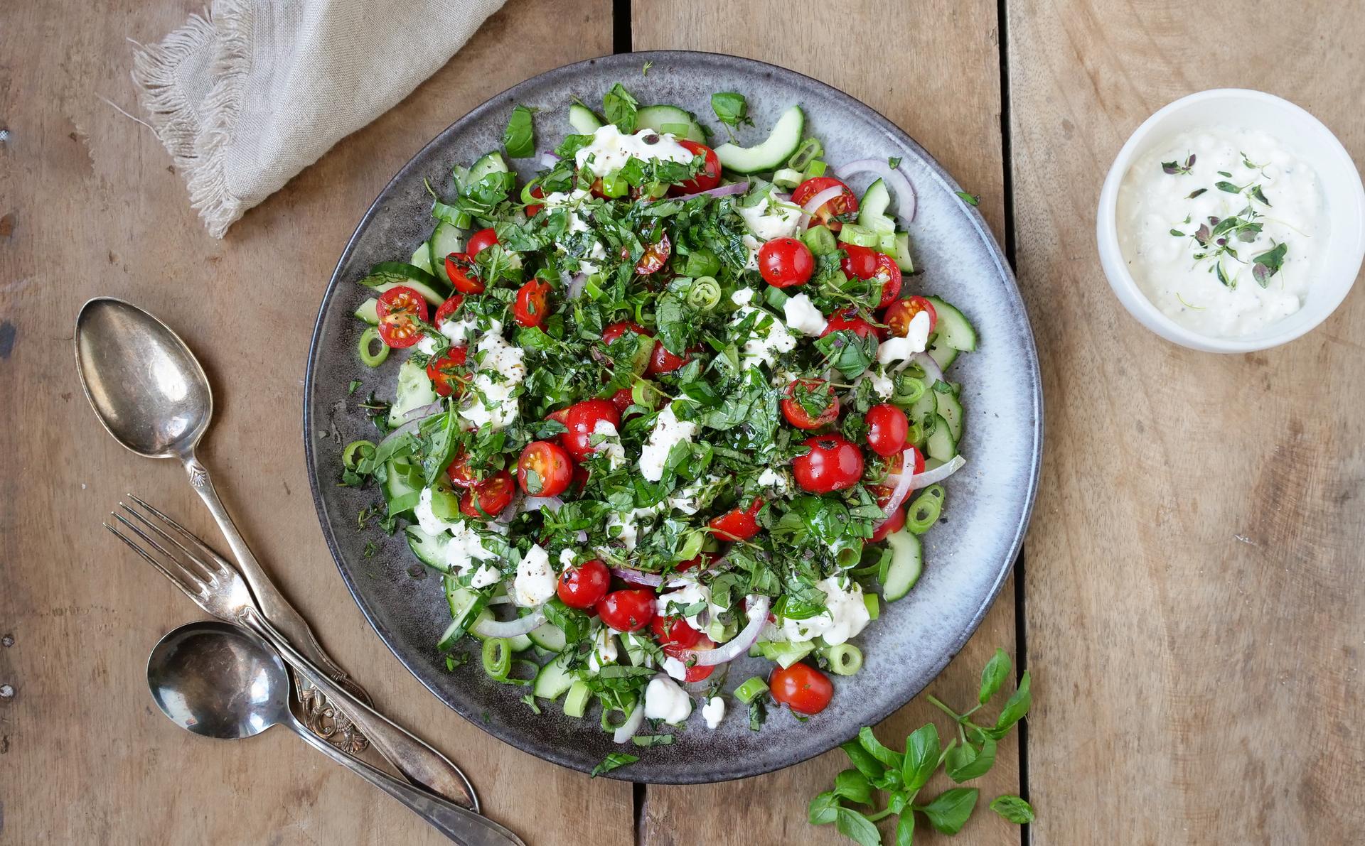 Grønn salat med cottage cheese, tomat, agurk og løk. Dressing på siden.