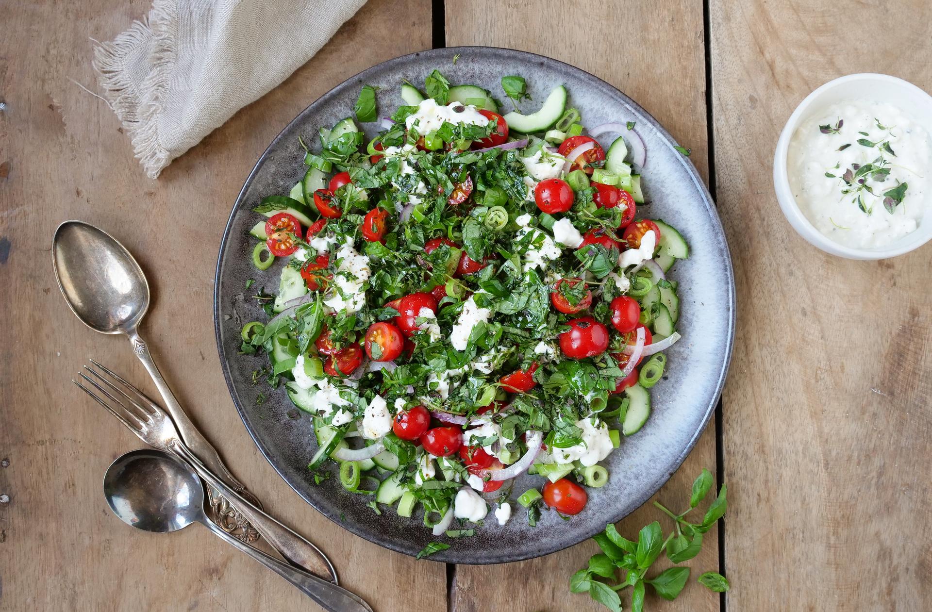 Grønn salat med cottage cheese, tomat, agurk og løk. Dressing på siden.