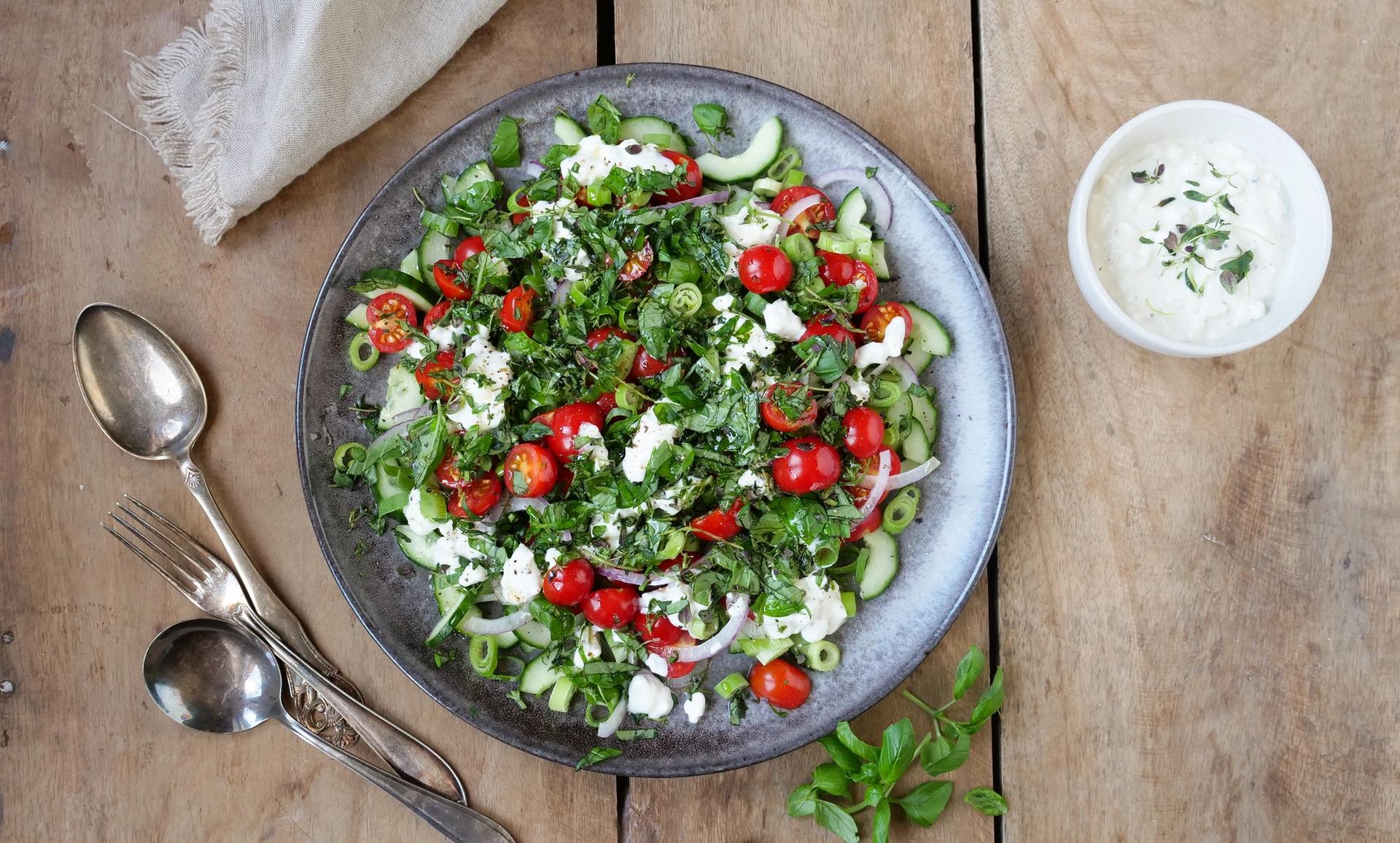 Grønn salat med tomat, cottage cheese, agurk og løk