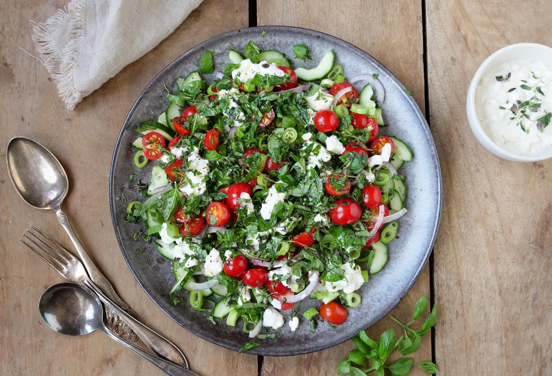 Grønn salat med tomat, cottage cheese, agurk og løk