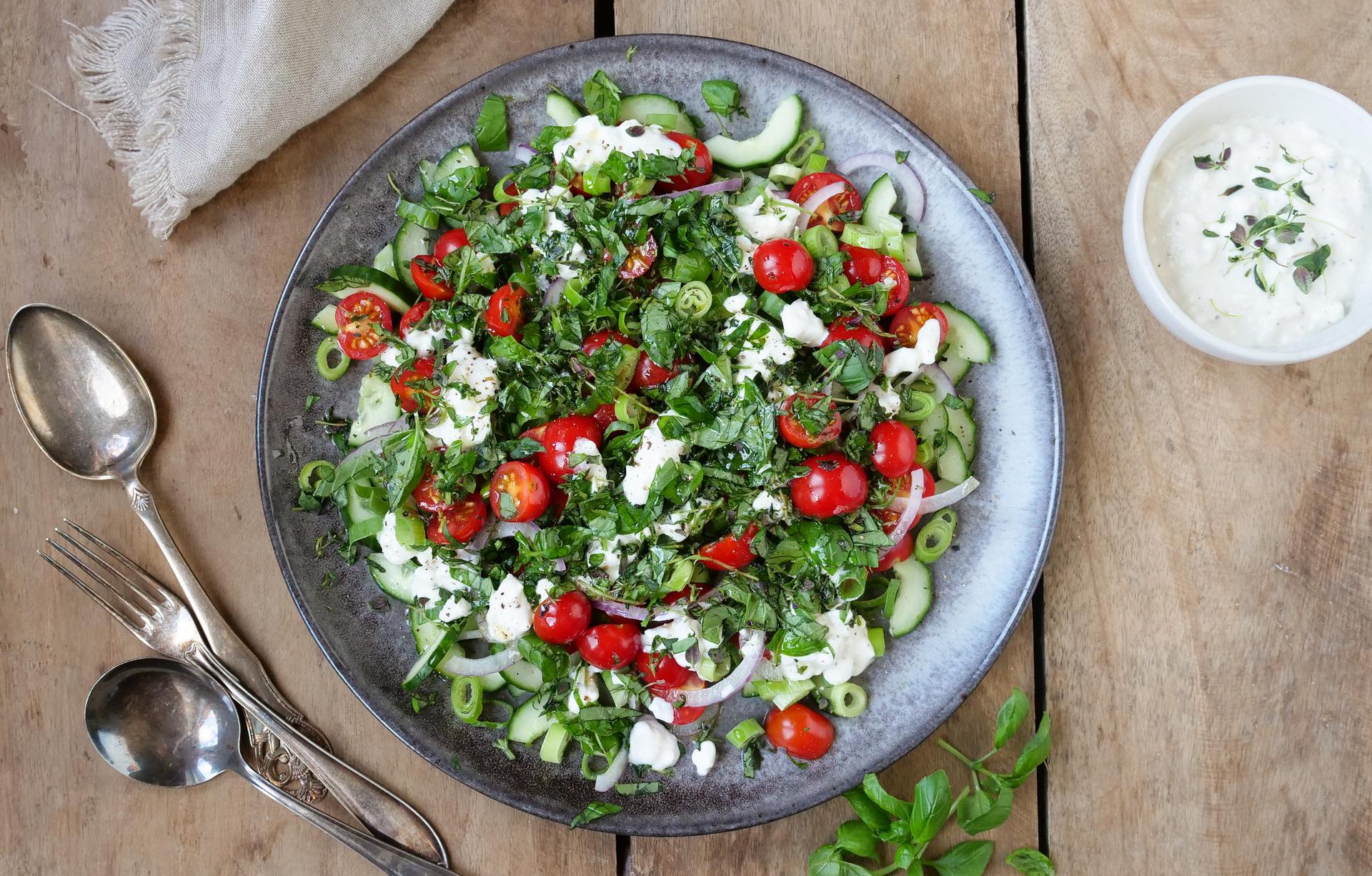 Grønn salat med tomat, cottage cheese, agurk, løk