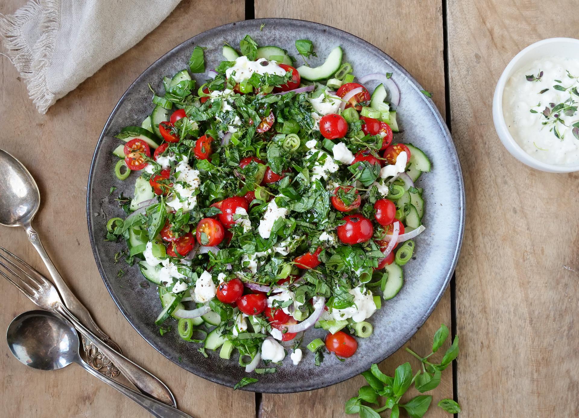 Grønn salat med cottage cheese, tomat, agurk og løk. Dressing på siden.