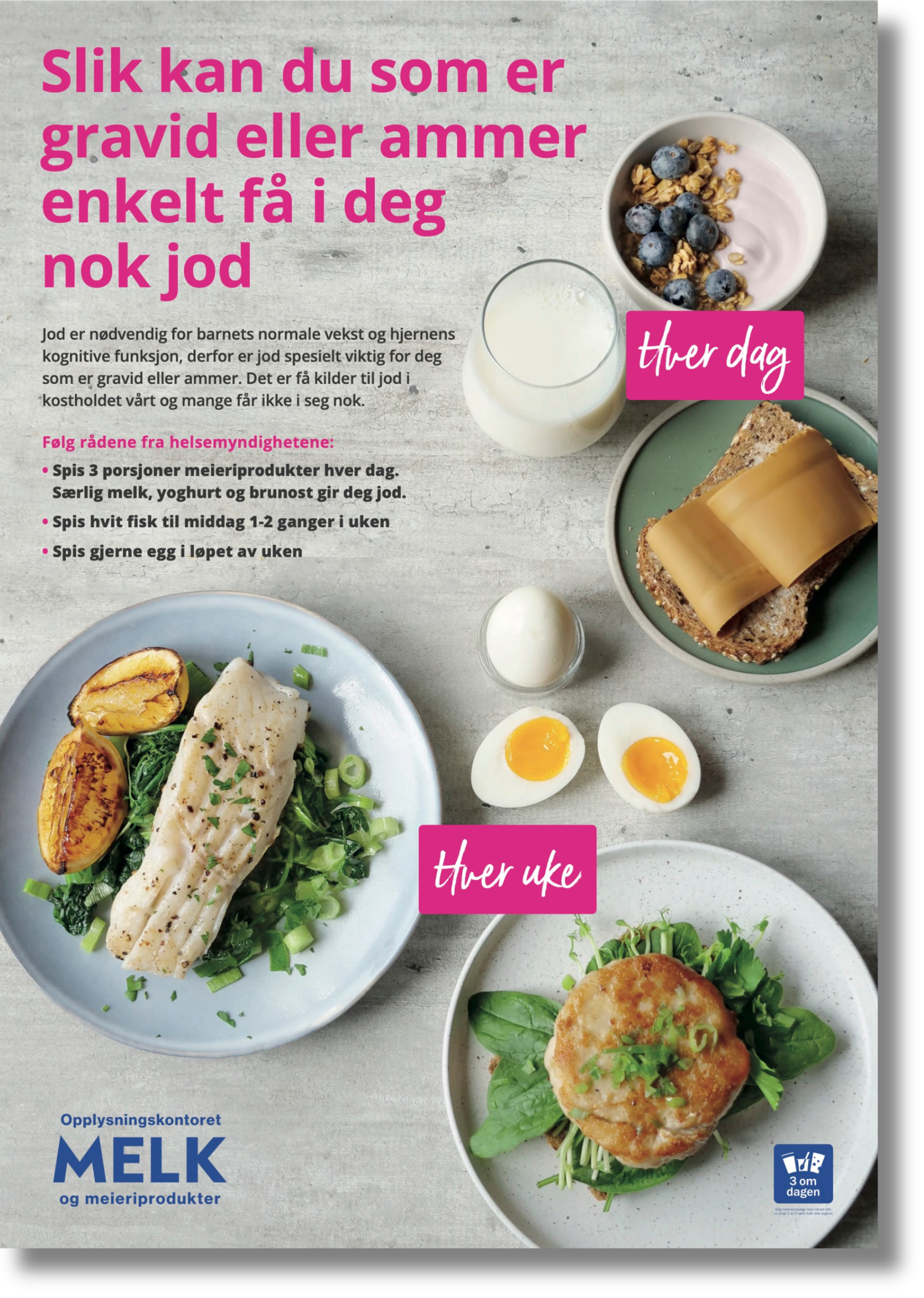 Plakat om meieriprodukter og hvit fisk som kilder til jod i norsk kosthold.