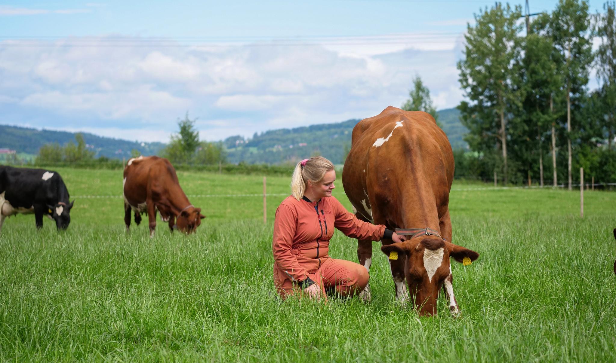 a woman is kneeling down next to a cow in a field .