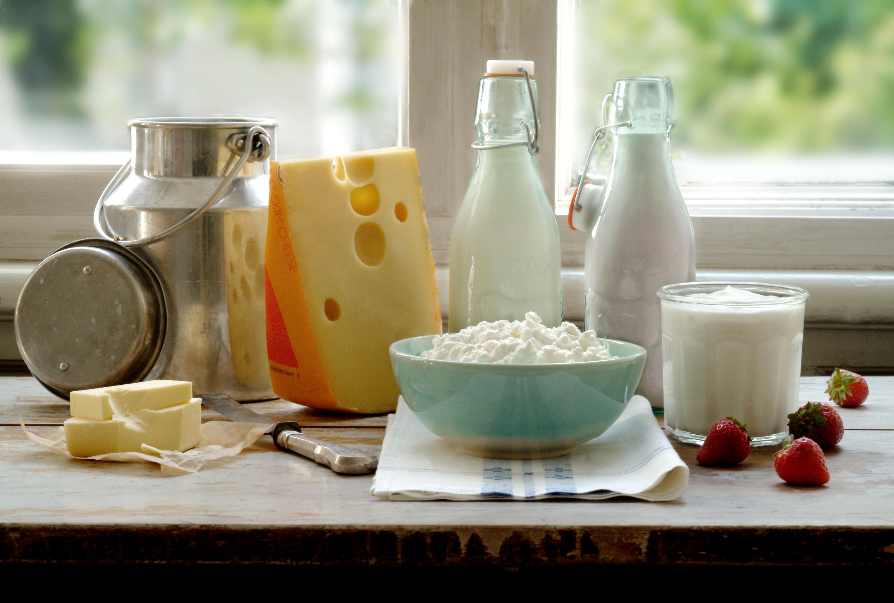 Et utvalg meieriprodukter, ost yoghurt, melk