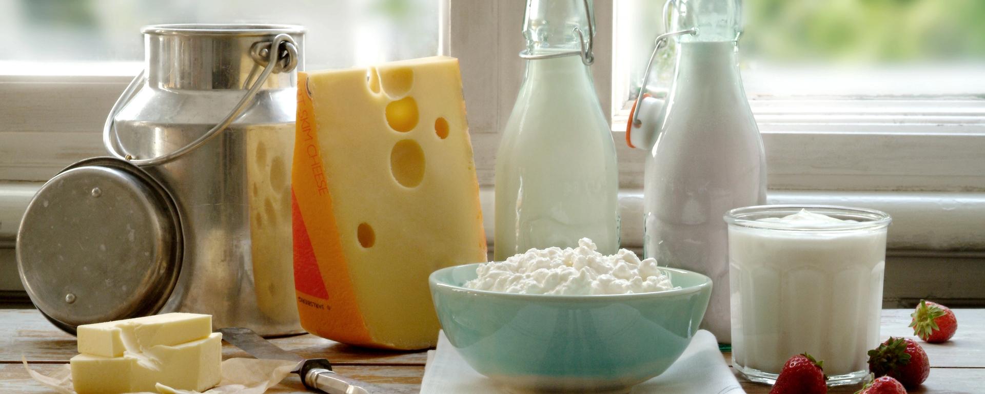 Et utvalg meieriprodukter, ost yoghurt, melk
