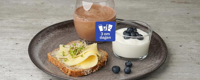Grå tallerken med brødskive med gulost og spirer, yoghurt ed blåbær og et glass sjokolademelk