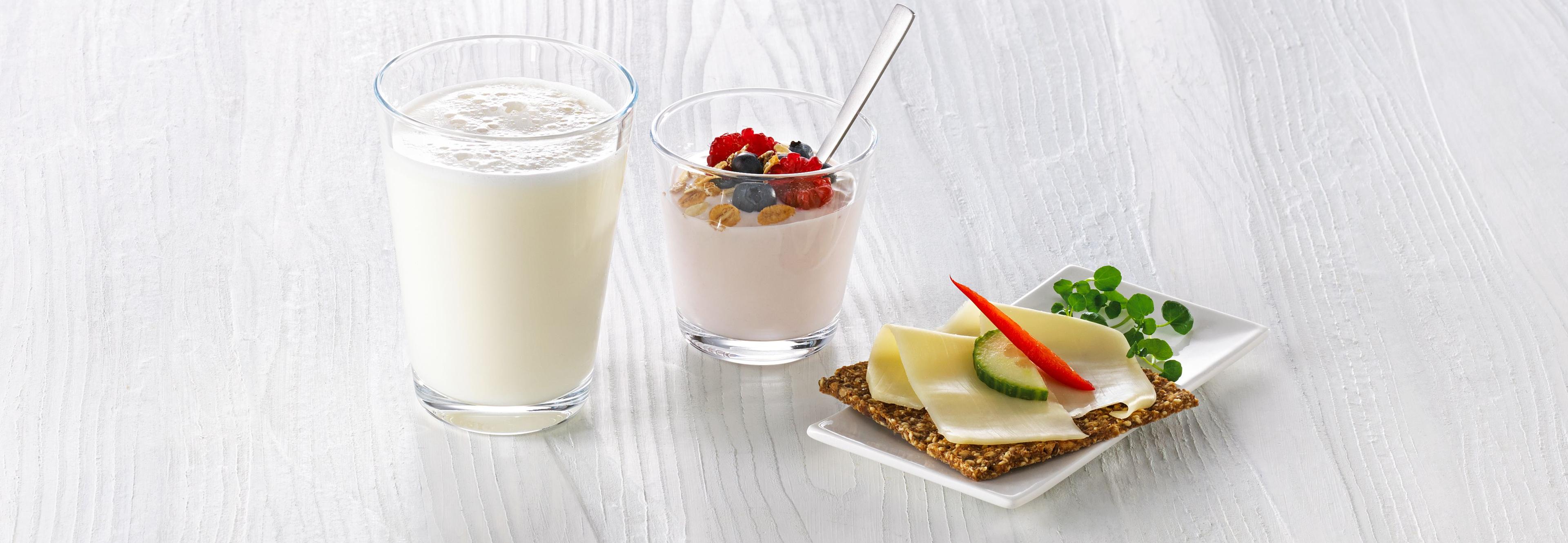 Ett glass melk, et beger yoghurt med litt müsli og friske bær, og ett knekkebrød med gulost, agurk og paprika.