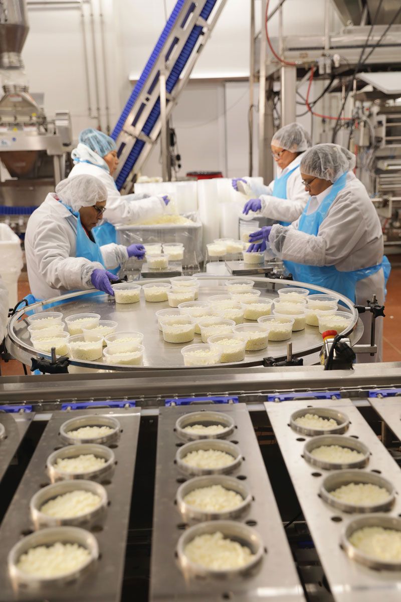 Multiple automated lines, giving us the ability to run cheeses like Goat Crumbles at scale.