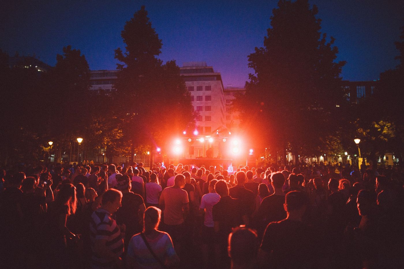 Concert crowd at night, seen from behind