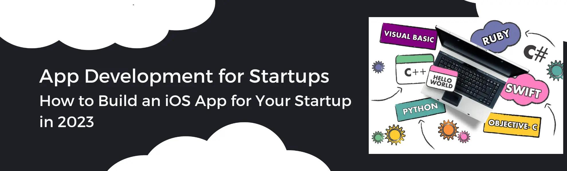 Best Programming Languages for Web Development and Where to Get Custom Web Development Services