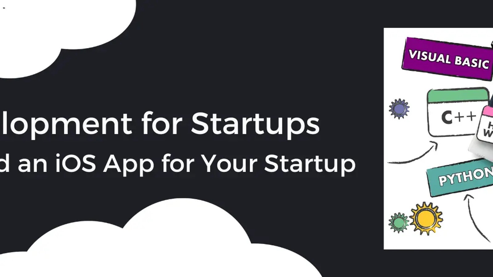 Best Programming Languages for Web Development and Where to Get Custom Web Development Services