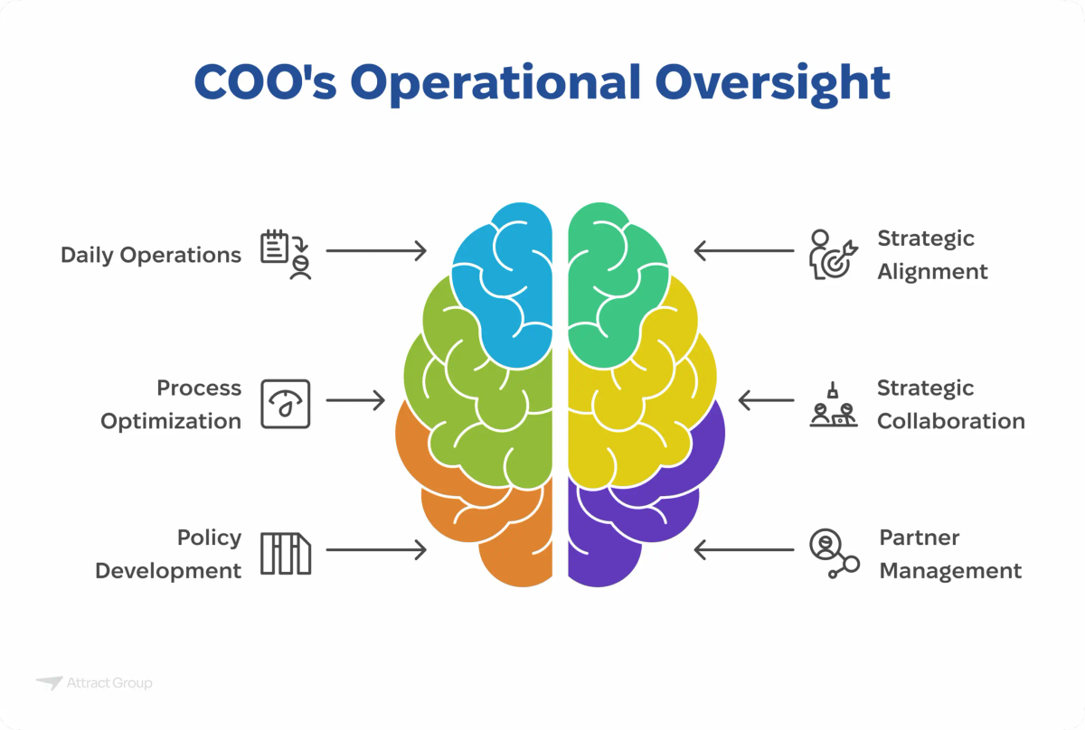 A diagram titled "COO's Operational Oversight" depicting a brain with different sections representing areas overseen by the COO: Daily Operations, Process Optimization, Policy Development, Strategic Alignment, Strategic Collaboration, and Partner Management.