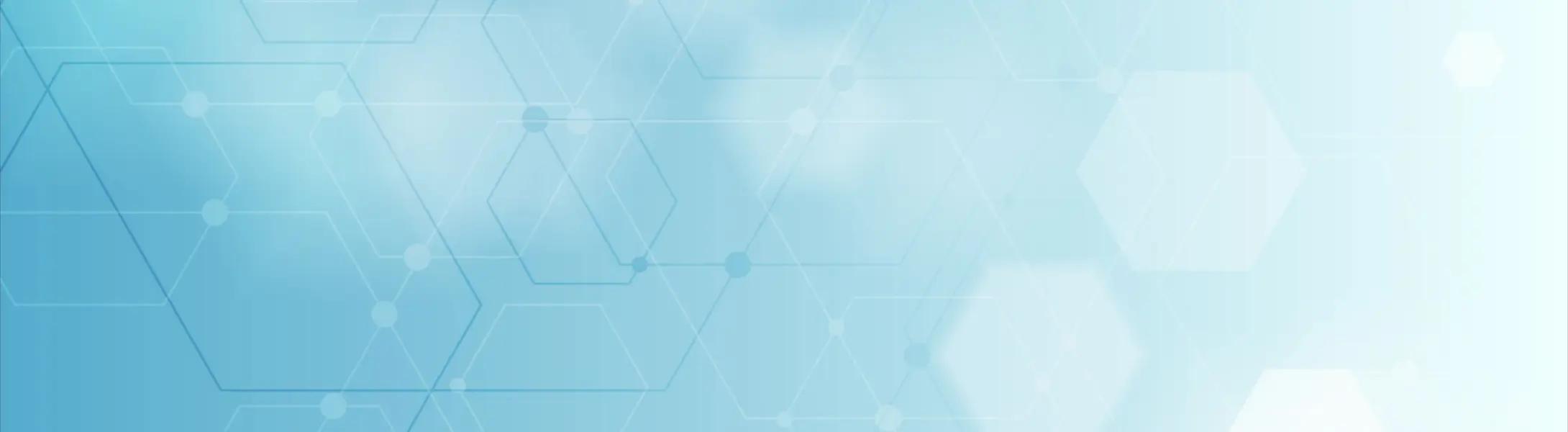 Looking for the Best Web Development Company in Amsterdam?