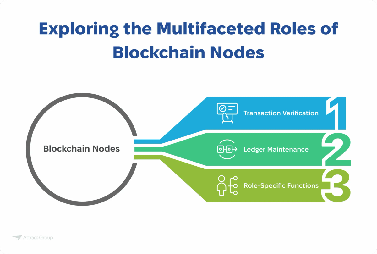 Infographic illustrating the three primary roles of Blockchain Nodes: Transaction Verification, Ledger Maintenance, and Role-Specific Functions.