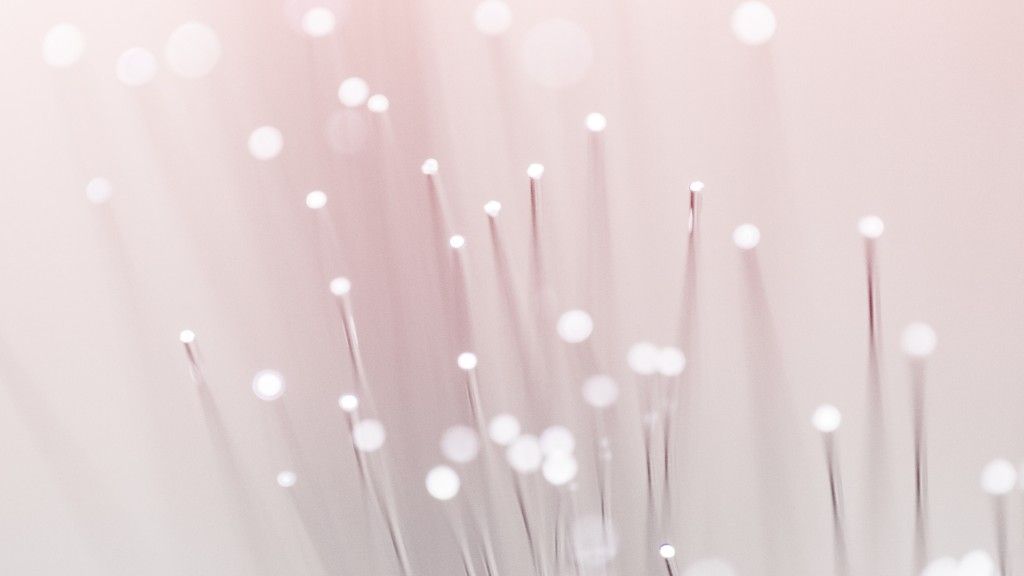 Headless CMS Development Services: Costs, Hiring, and What to Expect