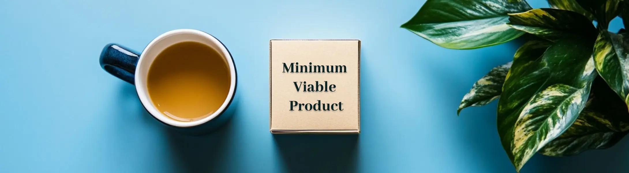 Beginner’s Guide to MVP or Minimum Viable Product Examples