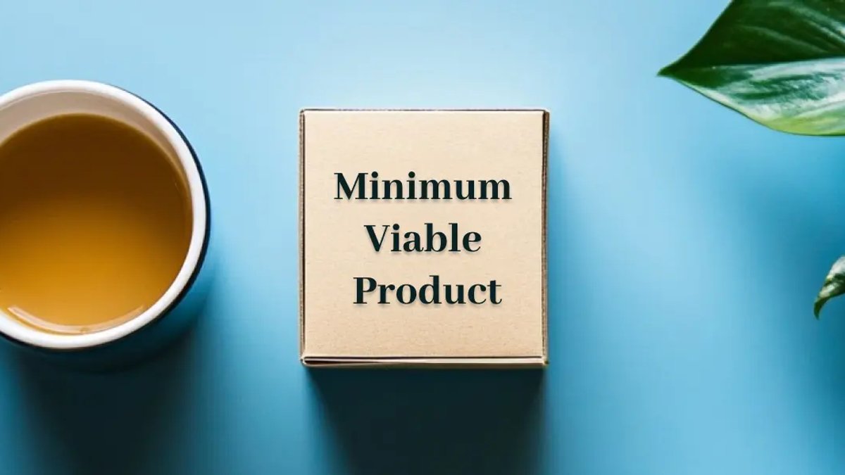 Beginner’s Guide to MVP or Minimum Viable Product Examples