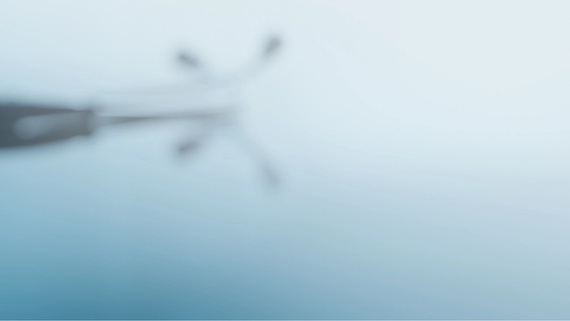 Medical Device Software Development in 2026: Regulatory and Technical Overview