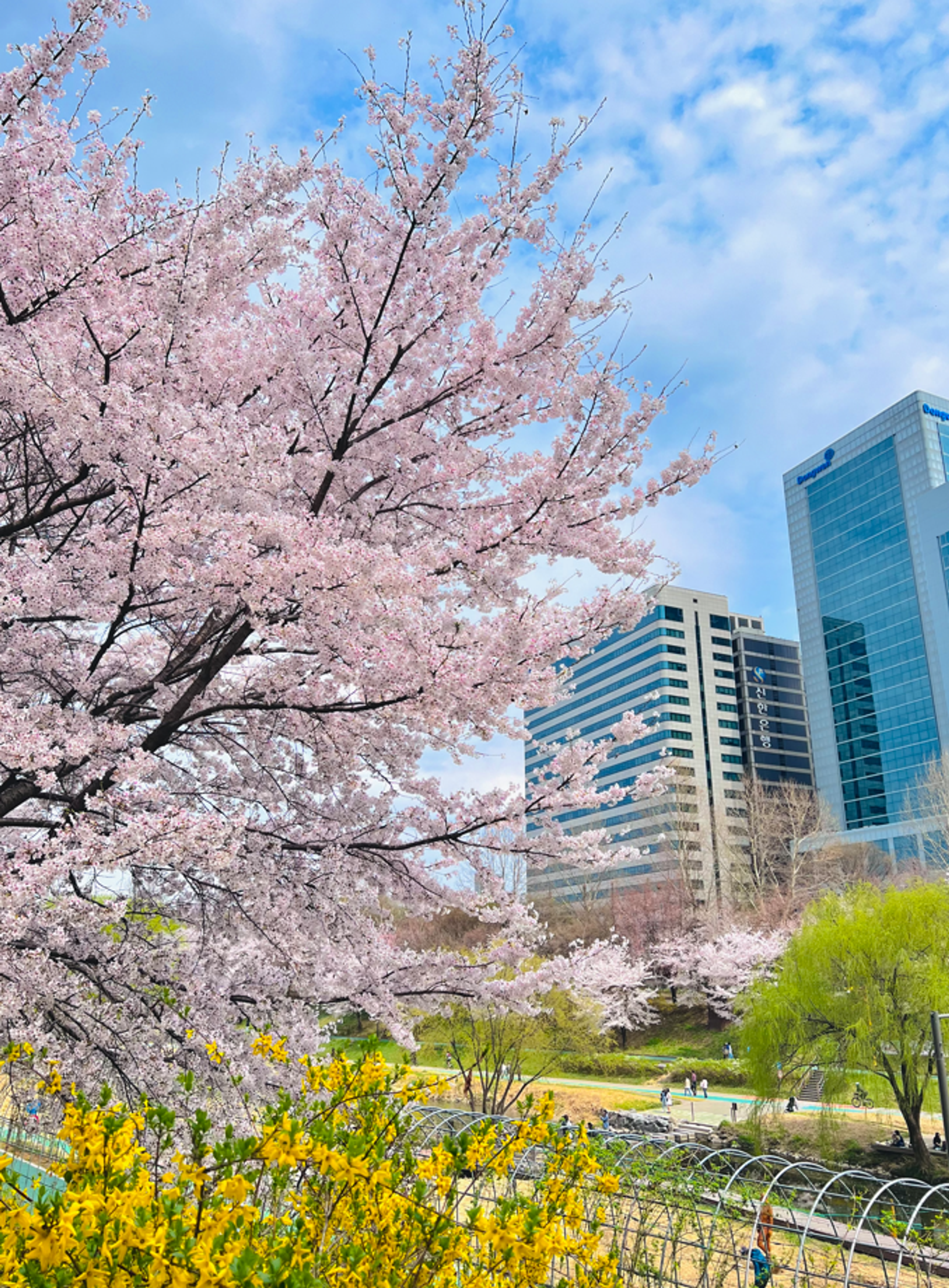 The First Welcome Faces to Appear