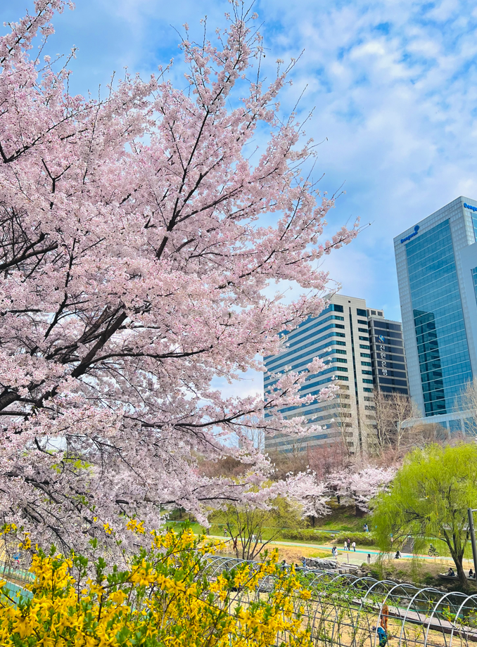 The First Welcome Faces to Appear