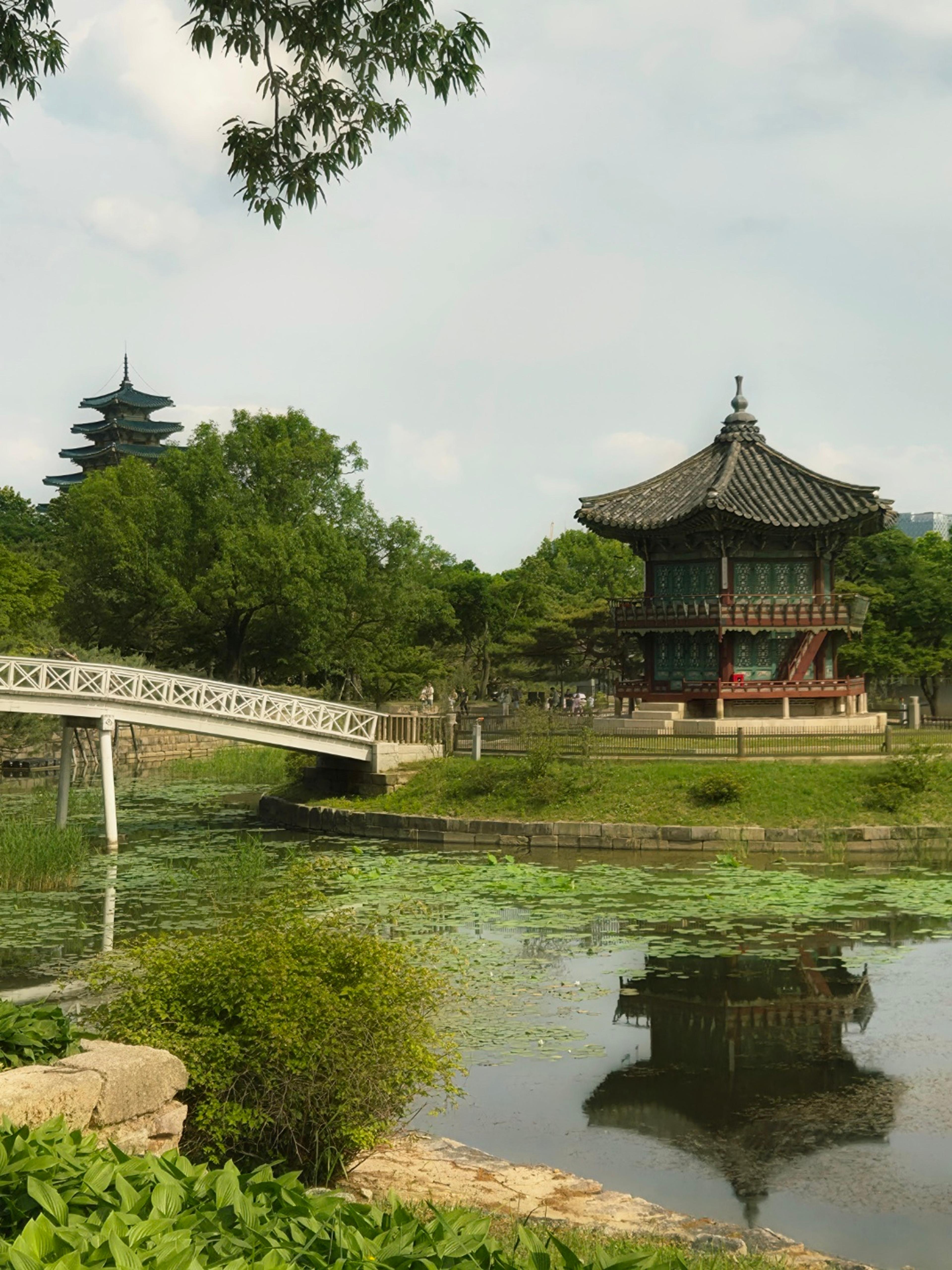 Hyangwonjeong across the lotus pond with the pagoda in the background