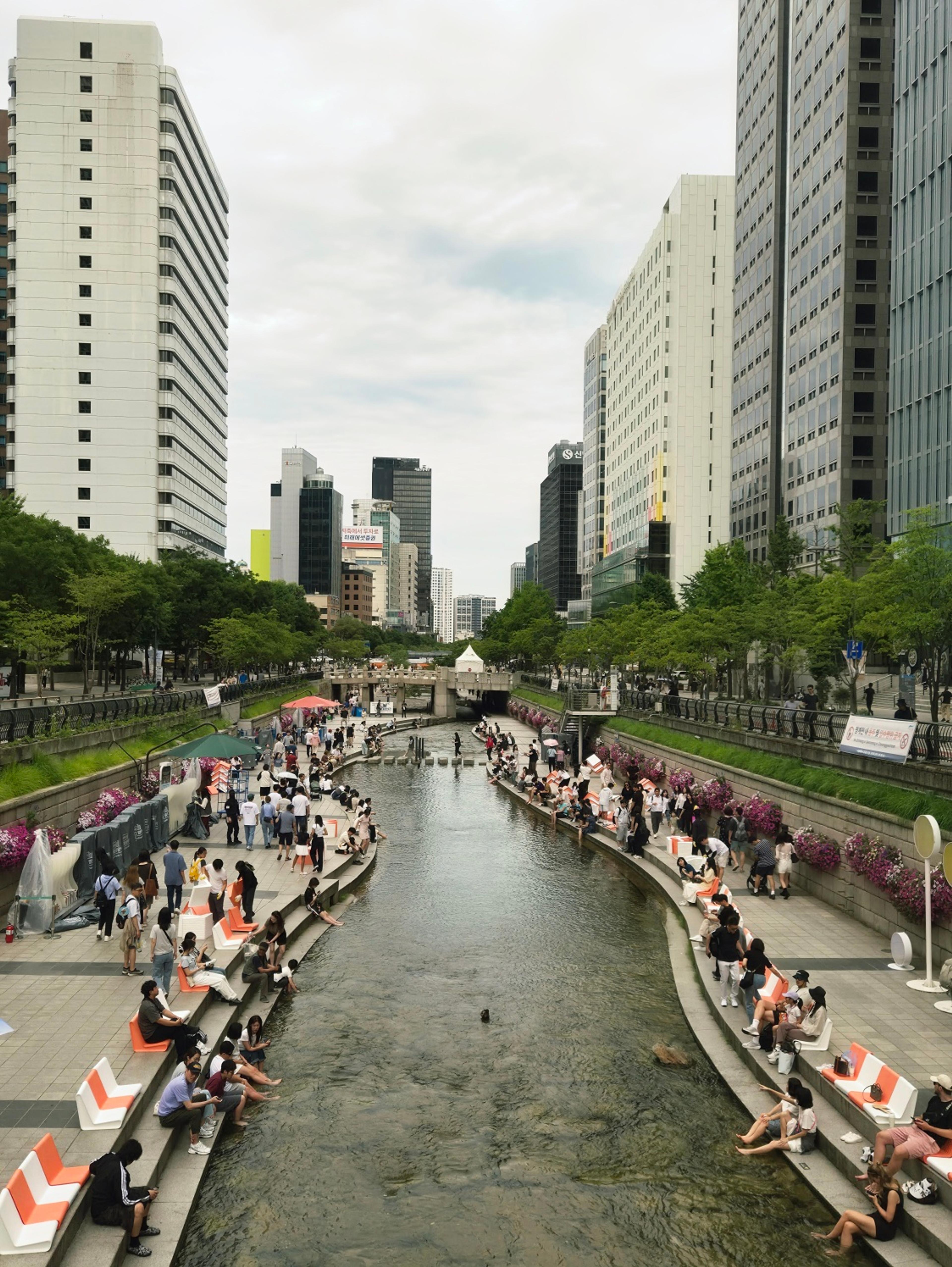 Wide aerial shot of Cheonggyecheon stream curving away into the distance between rows of tall Seoul buildings, with people seated on benches along both banks under an overcast sky
