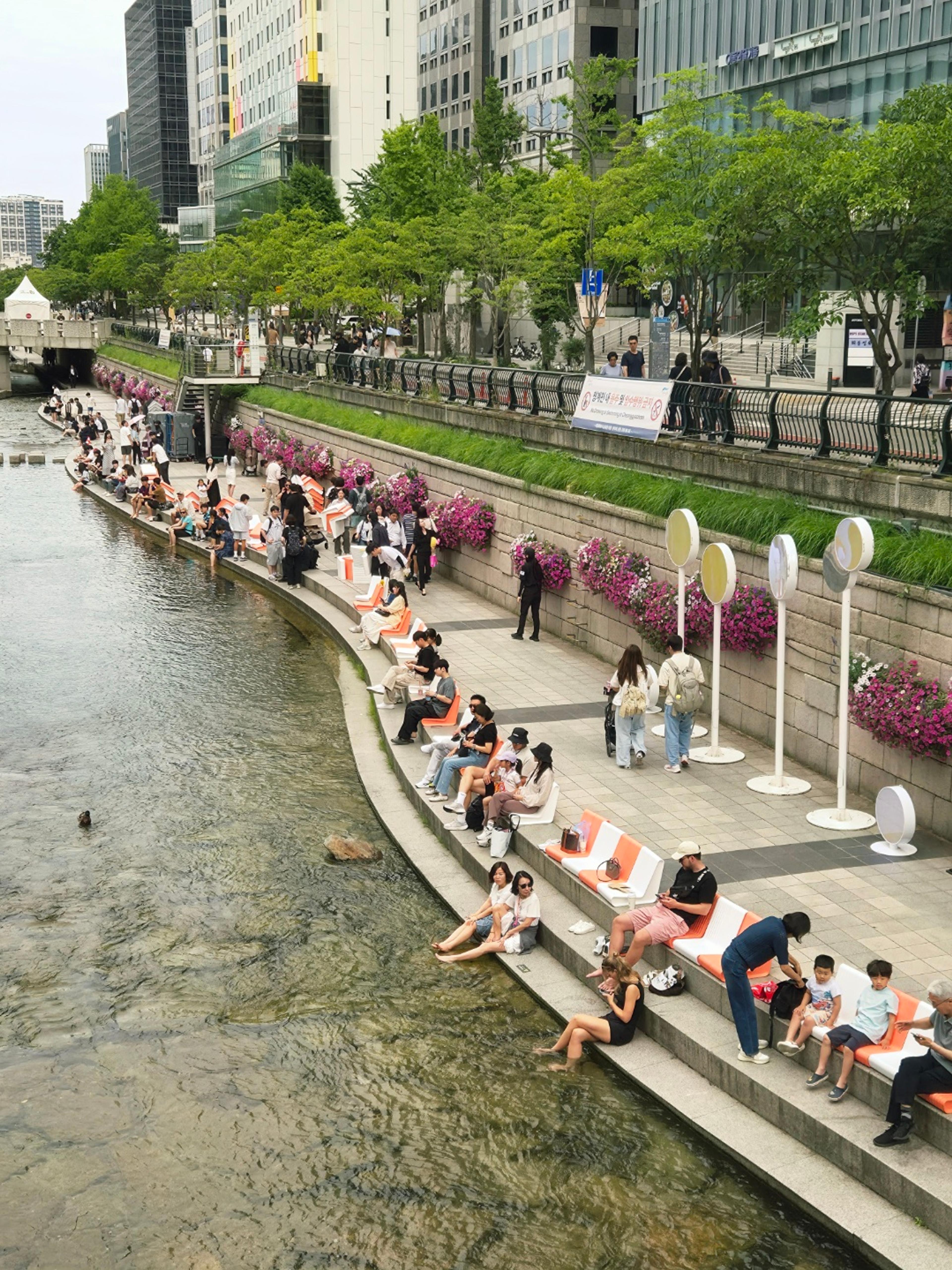 Wide aerial shot of Cheonggyecheon stream curving away into the distance between rows of tall Seoul buildings, with people seated on benches along both banks under an overcast sky
