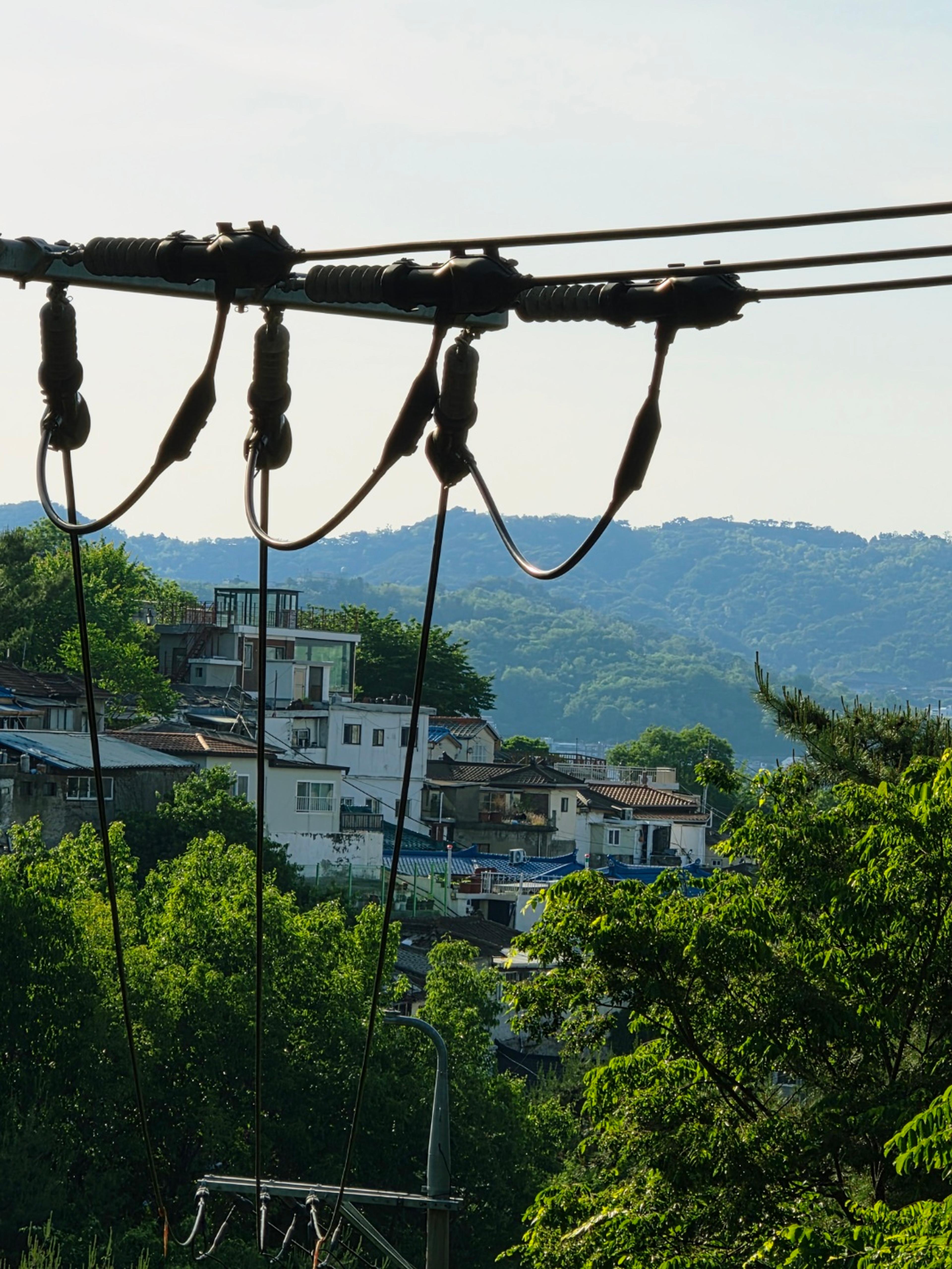 view over the metal railing showing the forest below