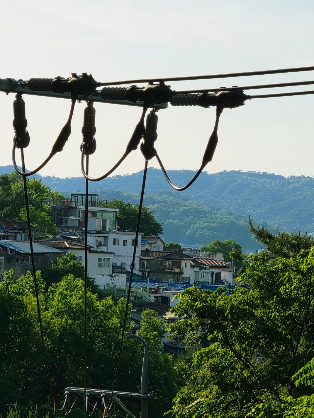 view over the metal railing showing the forest below