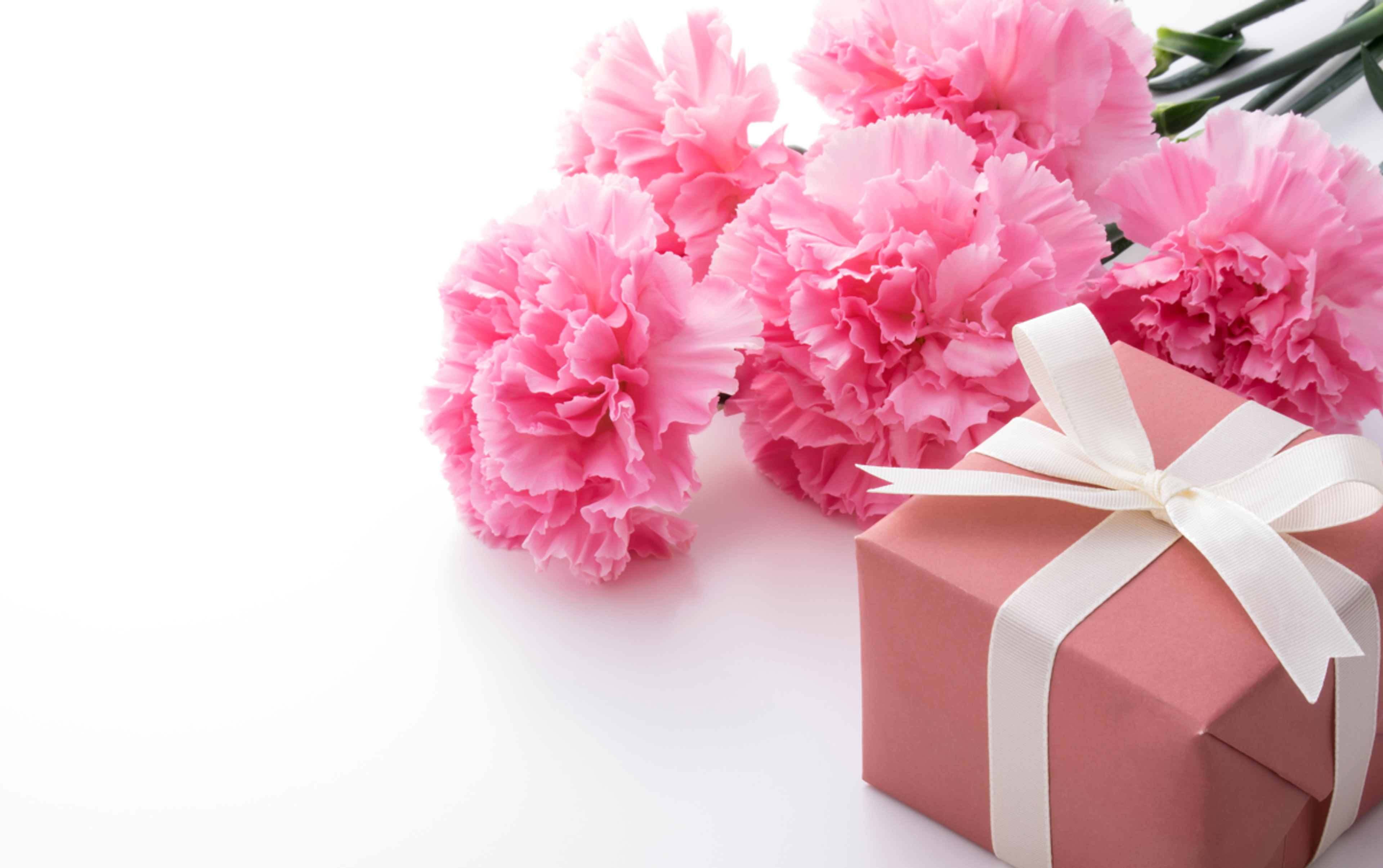  carnation and gift