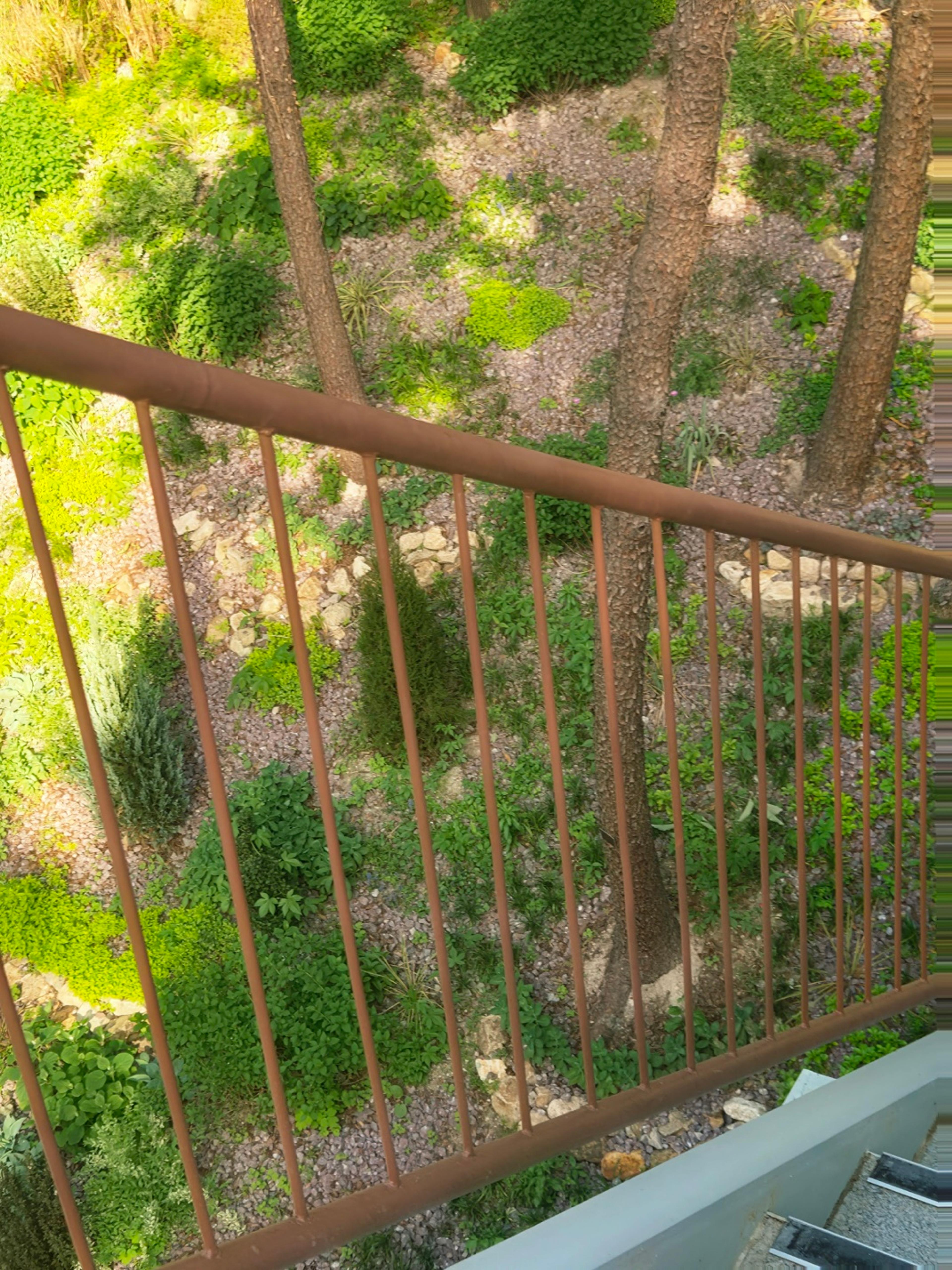 view over the metal railing showing the forest below