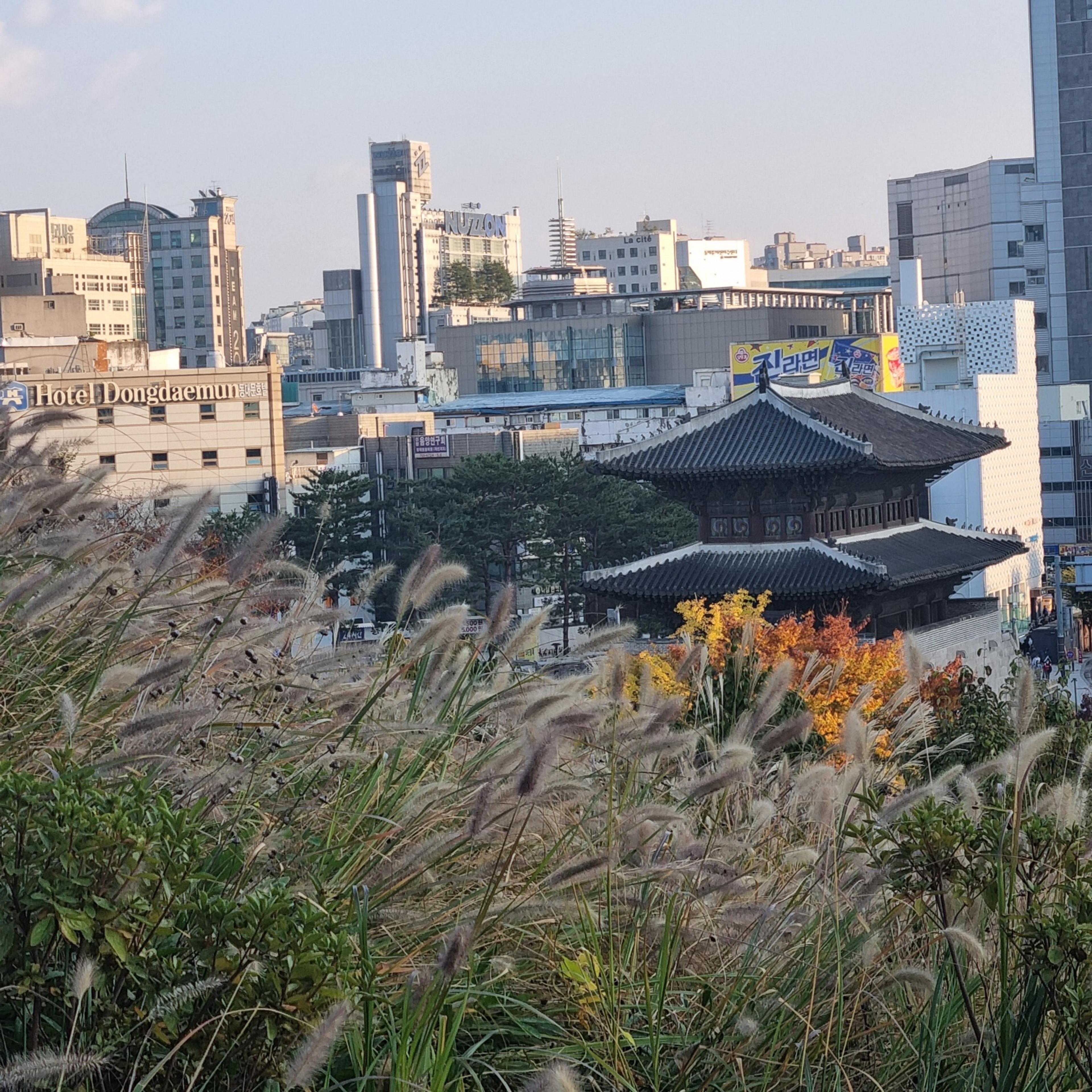 Modern city buildings blending perfectly with the traditional roof of Heunginjimun Gate in Dongdaemun, Seoul.