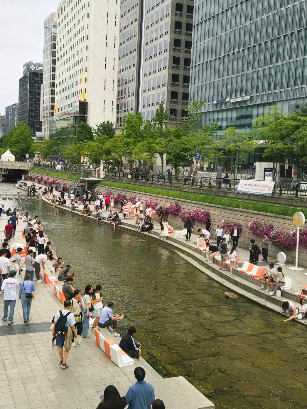 Aerial view of the Cheonggyecheon stream curving through downtown Seoul, lined on both sides with high-rise office towers, with people walking and sitting along the paved walkways
