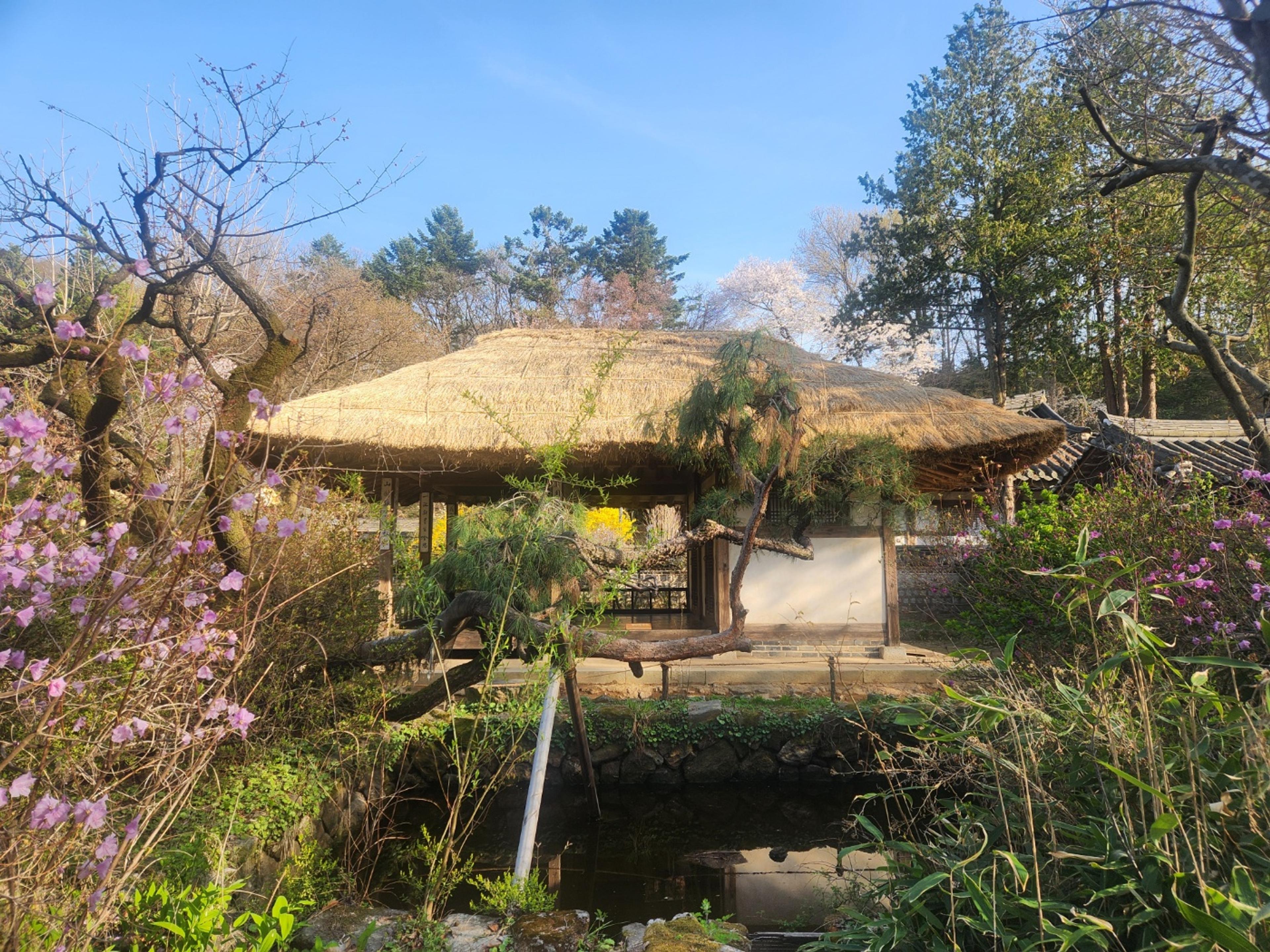 A Perfect Spring Weekend in Korea: Strolling Through the Korean Folk Village