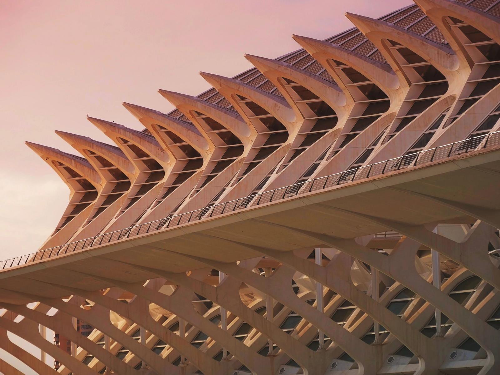 Valencia Science Museum with its sculptural white architecture at sunset.