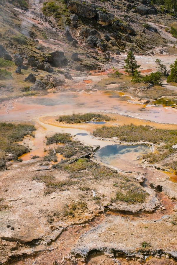 Yellowstone