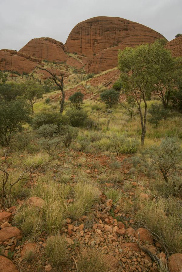 Australia