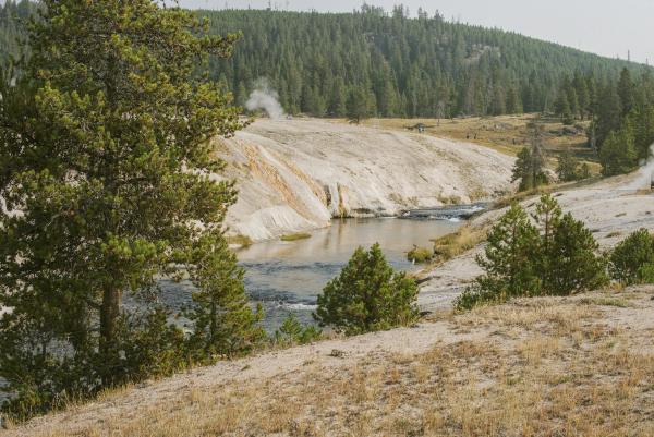Yellowstone