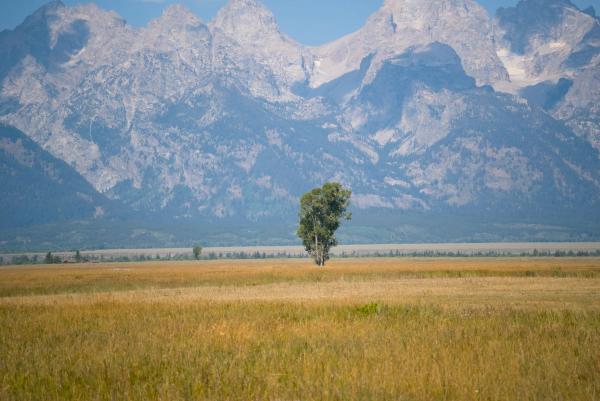 Grand Tetons