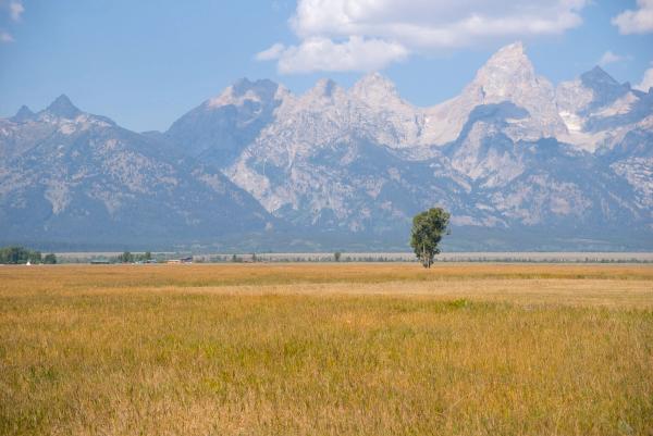 Grand Tetons