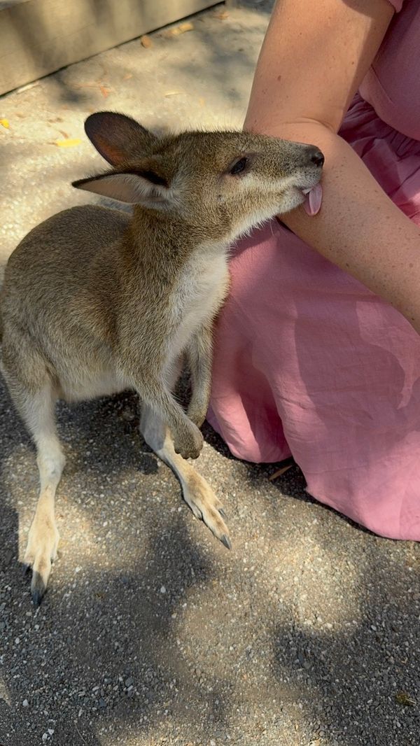 Australia