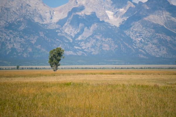 Grand Tetons