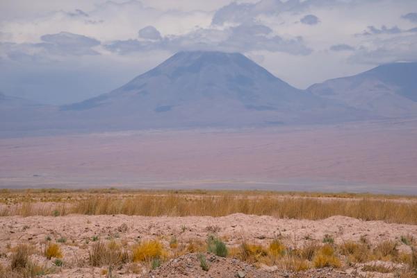Atacama Desert