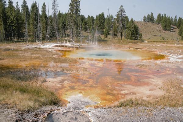 Yellowstone
