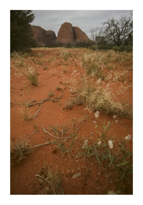 Australia