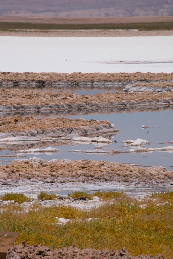 Atacama Desert