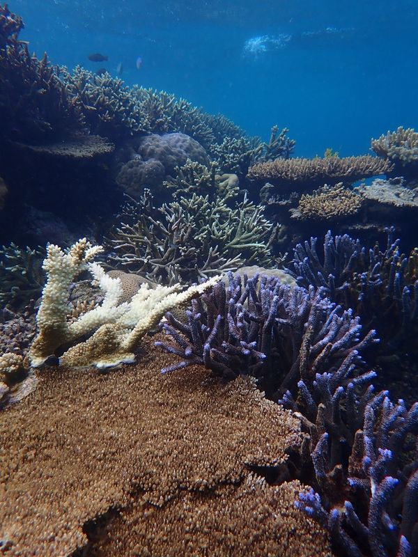Australia