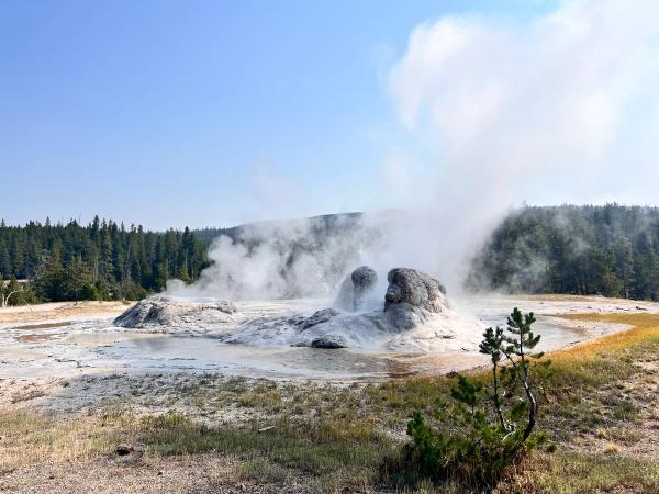 Yellowstone