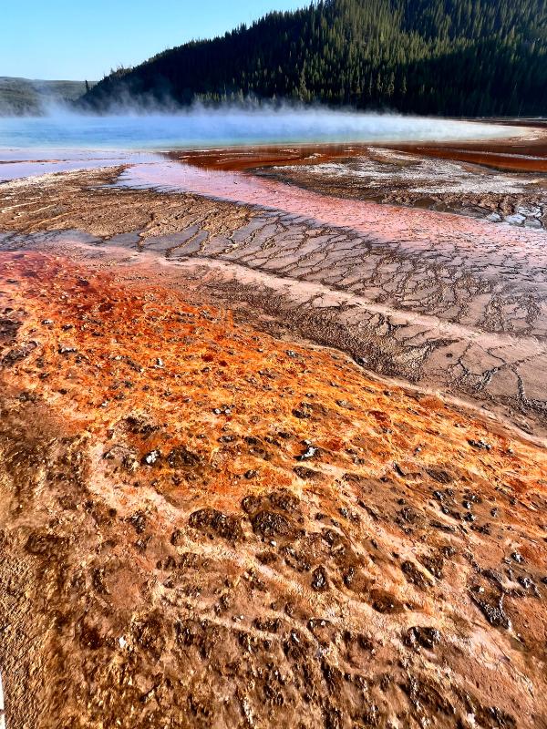 Yellowstone